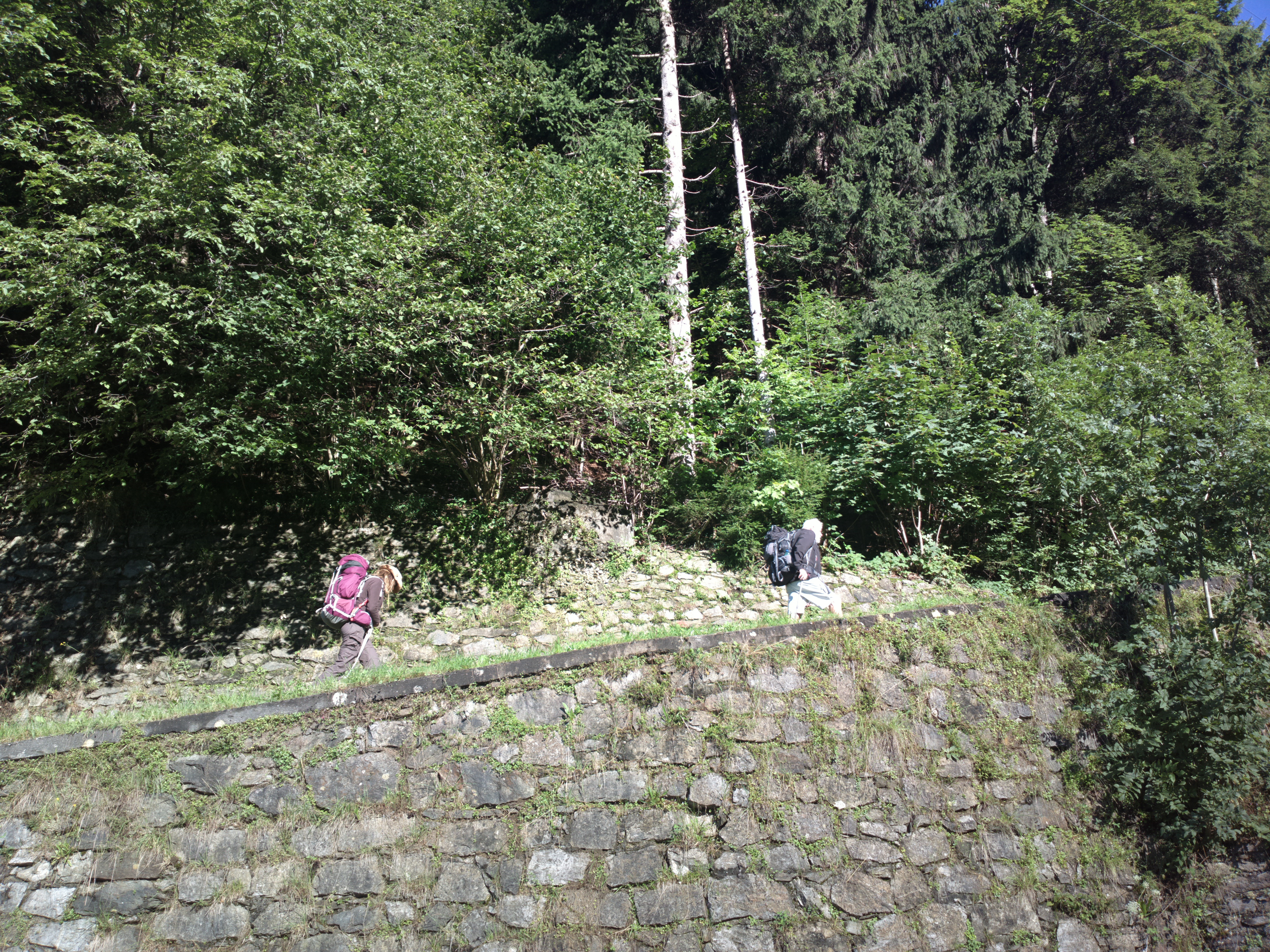2014-08-16-1824