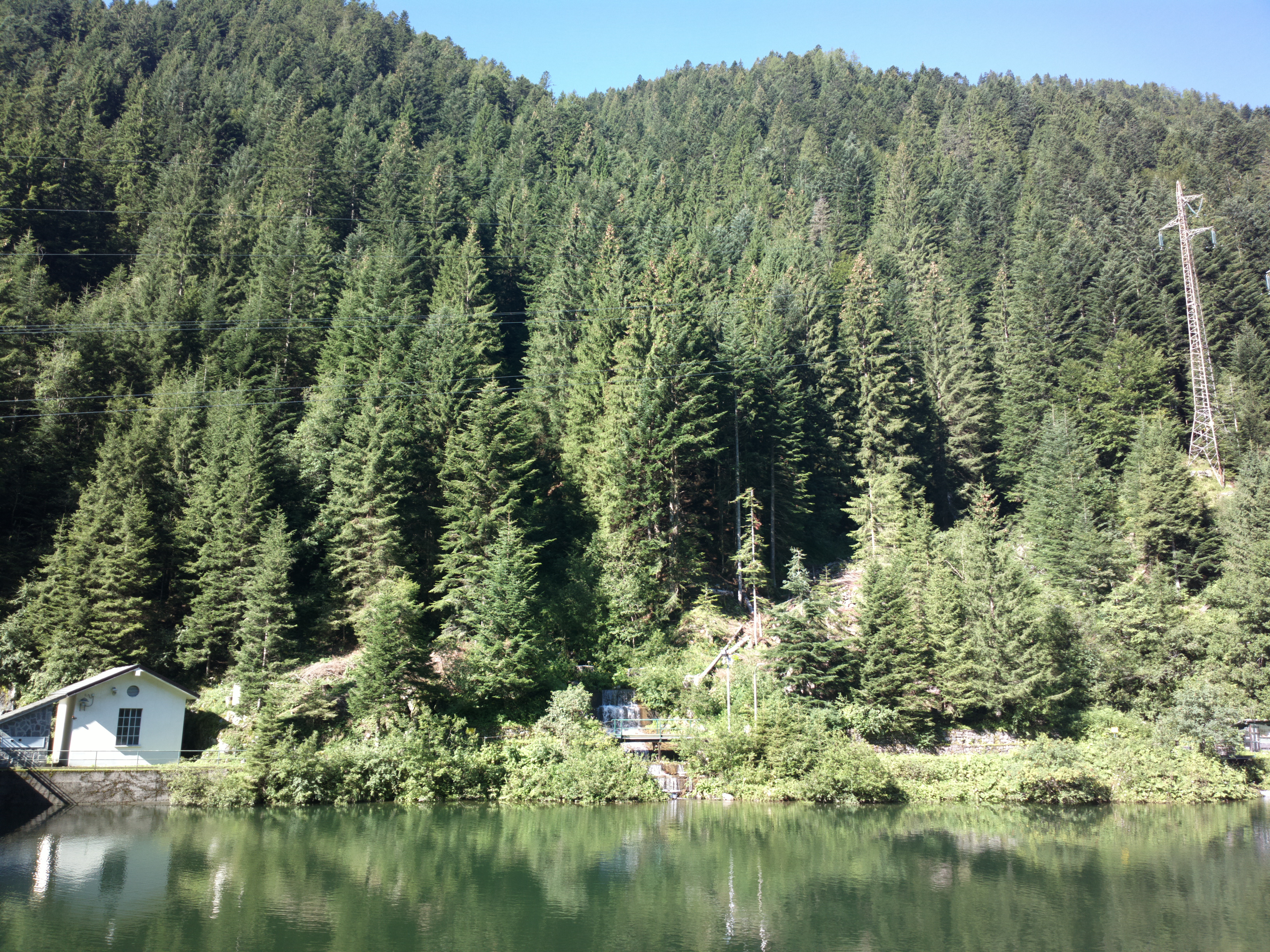 2014-08-16-1828