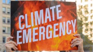 Emergenza-climatica-11mila-ricercatori-firmano-appello-su-BioScience_articleimage